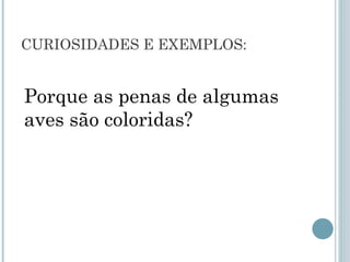 CURIOSIDADES E EXEMPLOS:
Porque as penas de algumas
aves são coloridas?
 