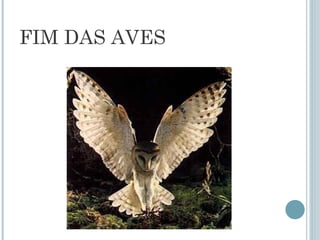 FIM DAS AVES
 