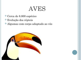 AVES
 Cerca de 8.800 espécies
 Evolução dos répteis
 Algumas com corpo adaptado ao vôo
 