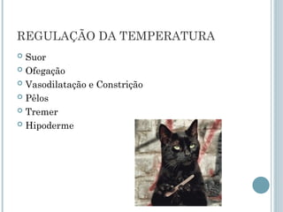 REGULAÇÃO DA TEMPERATURA
 Suor
 Ofegação
 Vasodilatação e Constrição
 Pêlos
 Tremer
 Hipoderme
 