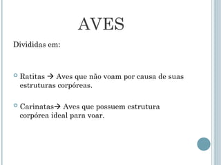 AVES
Divididas em:
 Ratitas  Aves que não voam por causa de suas
estruturas corpóreas.
 Carinatas Aves que possuem estrutura
corpórea ideal para voar.
 