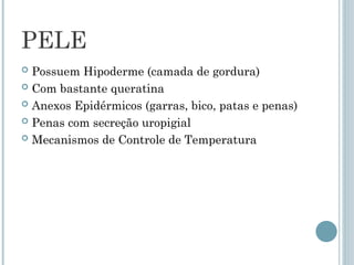 PELE
 Possuem Hipoderme (camada de gordura)
 Com bastante queratina
 Anexos Epidérmicos (garras, bico, patas e penas)
 Penas com secreção uropigial
 Mecanismos de Controle de Temperatura
 