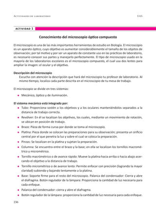 236
Actividades de laboratorio UAS
actividad 1
Conocimiento del microscopio óptico compuesto
El microscopio es una de las más importantes herramientas de estudio en Biología. El microscopio
es un aparato óptico, cuyo objetivo es aumentar considerablemente el tamaño de los objetos de
observación; por tal motivo y por ser un aparato de constante uso en las prácticas de laboratorio,
es necesario conocer sus partes y manejarlo perfectamente. El tipo de microscopio usado en la
mayoría de los laboratorios escolares es el microscopio compuesto, el cual usa dos lentes para
ampliar la imagen: el ocular y el objetivo.
Descripción del microscopio
Escucha con atención la descripción que hará del microscopio tu profesor de laboratorio. Al
mismo tiempo, localiza cada parte descrita en el microscopio de tu mesa de trabajo.
El microscopio se divide en tres sistemas:
l	 Mecánico, óptico y de iluminación.
El sistema mecánico está integrado por:
l	 Tubo: Proporciona sostén a los objetivos y a los oculares manteniéndolos separados a la
distancia de trabajo correcta.
l	 Revólver: En él se localizan los objetivos, los cuales, mediante un movimiento de rotación,
se ubican en posición de trabajo.
l	 Brazo: Pieza de forma curva por donde se toma al microscopio.
l	 Platina: Pieza donde se colocan las preparaciones para su observación; presenta un orificio
central por el que penetra la luz y sobre el cual se coloca la preparación.
l	 Pinzas: Se localizan en la platina y sujetan la preparación.
l	 Columna: Se encuentra entre el brazo y la base; en ella se localizan los tornillos macromé-
trico y micrométrico.
l	 Tornillo macrómétrico o de avance rápido: Mueve la platina hacia arriba o hacia abajo acer-
cando el objetivo a la distancia de trabajo.
l	 Tornillo micrométrico o de avance lento: Permite enfocar con precisión (logrando la mayor
claridad) subiendo y bajando lentamente a la platina.
l	 Base: Soporte firme para el resto del microscopio. Palanca del condensador: Cierra y abre
el diafragma. Botón regulador de la lámpara: Proporciona la cantidad de luz necesaria para
cada enfoque.
l	 Palanca del condensador: cierra y abre el diafragma.
l	 Botón regulador de la lámpara: proporciona la cantidad de luz necesaria para cada enfoque.
 