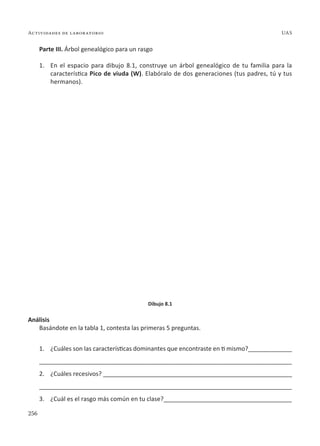 256
Actividades de laboratorio UAS
Parte III. Árbol genealógico para un rasgo
1.	 En el espacio para dibujo 8.1, construye un árbol genealógico de tu familia para la
característica Pico de viuda (W). Elabóralo de dos generaciones (tus padres, tú y tus
hermanos).
Dibujo 8.1
Análisis
Basándote en la tabla 1, contesta las primeras 5 preguntas.
1.	 ¿Cuáles son las características dominantes que encontraste en ti mismo?_____________
__________________________________________________________________________
2.	 ¿Cuáles recesivos? ________________________________________________________
__________________________________________________________________________
3.	 ¿Cuál es el rasgo más común en tu clase?______________________________________
 