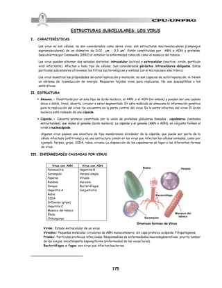 175
ESTRUCTURAS SUBCELULARES: LOS VIRUS
I. CARACTERÍSTICAS
Los virus no son células, no son considerados como seres vivos, son estructuras macromoleculares (complejos
supramoleculares) de un diámetro de 0,02 µm - 0,3 µm1
. Están constituidos por ARN o ADN y proteína.
Descubiertos por Ivanowsky (1892) al estudiar la enfermedad conocida como el mosaico del tabaco.
Los virus pueden alternar dos estados distintos: intracelular (activo) y extracelular (inactivo: virión, partícula
viral infectante). Afectan a todo tipo de células. Son considerados parásitos intracelulares obligados. Estas
partículas subcelulares atraviesan los filtros bacteriológicos y visibles con el microscopio electrónico.
Los virus muestran las propiedades de autorreplicación y mutación, no son capaces de autorreparación, ni tienen
un sistema de transducción de energía. Requieren tejidos vivos para replicarse. No son susceptibles a los
antibióticos.
II. ESTRUCTURA
§ Genoma.- Constituido por un solo tipo de ácido nucleico, el ARN o el ADN (no ambos) y pueden ser una cadena
única o doble, lineal, abierta, circular o estar segmentado. En esta molécula se almacena la información genética
para la replicación del virus. Se encuentra en la parte central del virus. Es la parte infectiva del virus. El ácido
nucleico está rodeado de una cápside.
§ Cápside.- Cubierta proteica constituida por la unión de proteínas globulares llamados capsómeros (unidades
estructurales), que rodea al genoma (ácido nucleico). La cápside y el genoma (ARN o ADN), en conjunto forman el
virión o nucleocápside.
Algunos virus poseen una envoltura de tipo membranoso alrededor de la cápside, que puede ser parte de la
célula infectada (anfitriona) y es una estructura común en los virus que infectan las células animales, como por
ejemplo: herpes, gripe, SIDA, rabia, viruela. La disposición de los capsómeros da lugar a las diferentes formas
de virus.
III. ENFERMEDADES CAUSADAS POR VIRUS
Virus con ARN Virus con ADN
Poliomielitis
Sarampión
Paperas
Rubéola
Dengue
Hepatitis A
Rabia
SIDA
Influenza (gripe)
Hepatitis C
Mosaico del tabaco
Ébola
Chikungunya
Hepatitis B
Herpes simple
Viruela
Varicela
Bacteriófagos
Conjuntivitis
Virión: Estado extracelular de un virus.
Viroides: Pequeñas moléculas circulares de ARN monocatenario, sin capa proteica ocápside. Fitopatógenos.
Priones: Partículas proteicas infecciosas. Responsables de enfermedades neurodegenerativas: prurito lumbar
de las ovejas, encefalopatía espongiforme (enfermedad de las vacas locas).
Bacteriófagos o fagos: son virus que infectan bacterias.
 