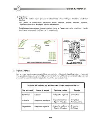 179
c) Importancia:
Ecológica: Por producir oxígeno (producto de la fotosíntesis) y reducir nitrógeno atmosférico para formar
amoniaco.
Son ejemplos de cianobacterias: Oscillatoria, Nostoc, Anabaena, Spirulina, Gleocapsa, Stigonema,
Tolypothrix, Chroococcus, Microcystis, Eucapsis, Merispopedia.
En las lagunas alto andinas viven cianobacterias como Nostoc sp. “cushuro” que realiza fotosíntesis y fijación
de nitrógeno, oxigenando la atmósfera y servir como alimento.
C. ARQUEOBACTERIAS.
Son un grupo de microorganismos unicelulares pertenecientes al dominio Archaea.Comprenden a bacterias
metanógenas (anaeróbicas, convierten el CO2 en metano); bacterias halófilas (de ambientes salinos) y bacterias
termoacidófilas (de ambientes calientes y ácidos: manantiales azufrosos calientes).
TIPOS NUTRICIONALES DEL METABOLISMO DE LAS ARQUEOBACTERIAS
Tipo nutricional Fuente de energía Fuente del carbono Ejemplos
Fotótrofos Luz solar Compuestos orgánicos Halobacteria
Litótrofos Compuestos inorgánicos Compuestos orgánicos o
fijación del carbono
Ferroglobus,
Methanobacteria
Organótrofos Compuestos orgánicos Compuestos orgánicos o
fijación del carbono
Pyrococcus,
Sulfolobus
 