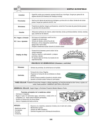 181
Lisosomas - Digestión celular por presentar enzimas hidrolíticas. Autofagia. Surgen por gemación de
algunos sáculos (dictiosomas) del Complejo de Golgi.
Peroxisomas - Destrucción rápida del peróxido de hidrógeno y protección a la célula. Oxidación de ácidos
grasos. Surgen por gemación del R.E. liso.
Glioxisomas - Presentes en plantas, hongos y protozoarios, convierten fracciones de grasa (ácidos grasos)
en glúcidos (Vía del glioxilato).
Vacuolas - Almacenan sustancias de reserva, sales minerales, ácidos, proteínas solubles, taninos, enzimas,
agua, sustancias de desecho.
R.E. Rugoso o Granular
R.E. Liso o Agranular
- Participa en la biosíntesis, modificación y
transporte de materiales.
- Síntesis de lípidos y detoxificación de
fármacos y otros compuestos xenobióticos
(plaguicidas, herbicidas).
- Origina la membrana nuclear durante la división celular.
Complejo de Golgi
- Formación de lisosomas, pared celular de las
células vegetales.
- Clasifica, modifica químicamente y empaca
proteínas y lípidos.
- En algunas especies forma el acrosoma de los
espermatozoides.
ORGANELOS NO MEMBRANOSAS (ribosomas y centriolos)
Ribosomas - Síntesis de proteínas. Se sintetizan en el nucléolo.
Centriolos
- Formación de cilios y flagelos.
- Organizan la formación de microtúbulos en células
animales.
- Forma el huso acromático durante la división celular.
- Durante la división celular forman el centrosoma.
PARED CELULAR: Presente Procariotas, hongos y células vegetales; su función principal es dar forma y rigidez a la
célula. Puede presentar MUREINA, QUITINA y CELULOSA.
MEMBRANA CELULAR: Según Singer y Nicholson Presenta Modelo Mosaico fluido.
Funciones principales de la membrana celular
- Contiene al citoplasma.
- Regula el paso de materiales (agua, nutrientes e iones) entre el
citoplasma y su medio (selectivamente permeable),
- Permite la interacción con otras células.
- Aísla al citoplasma del medio externo.
NÚCLEO:
- Membrana nuclear
- Carioplasma
- Nucleolo
- Cromatina
- Encerrar a la cromatina, comunicar al núcleo con el resto de la célula.
- Metabolismo nuclear.
- Síntesis de ARN ribosómico.
- Contiene los genes con la información hereditaria.
 
