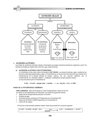 186
Citoplasmática
Glucosa
- O2
Etanol /Ac. Láctico
por
puede ser
AUTÓTROFA HETERÓTROFA
NUTRICIÓN CELULAR
Fotosíntesis Quimiosíntesis Anaeróbica Aeróbica
Clorofilianos
(Fotosintetizadores)
Ej. Plantas,
bacterias,
cianobacterias,
algas.
No Clorofilianos
(Oxidantes)
Ej. Bacterias
nitrificantes,
hidrógenas,
férricas.
Mitocondrial
Ácido Pirúvico
+ O2
CO2 + H2O + ATP
Ácido Pirúvico
1. NUTRICIÓN AUTÓTROFA
Las células de autótrofos obtienen energía, sintetizando sus propios alimentos (sustancias orgánicas) a partir de
sustancias inorgánicas simples tales como CO2, agua, sales minerales.
A) NUTRICIÓN AUTÓTROFA POR FOTOSÍNTESIS.
La fotosíntesis utiliza como fuente de energía la LUZ SOLAR; y es propia de plantas, algas, cianobacterias,
bacterias sulfurosas pigmentadas y algas. La fotosíntesis es un tipo de nutrición autótrofa que consiste en la
transformación de la energía luminosa en energía química. Es una reacción anabólica por la
transformación de moléculas simples a complejas y endergónica porque almacena energía.
La reacción química para la fotosíntesis es:
6 CO2 + 12 H2O + energía solar + clorofila C6H12O6 + 6 O2 + 6 H2O
FASES DE LA FOTOSÍNTESIS OXIGÉNICA.
FASE LUMINOSA. Reacción Fotoquímica, Fase Fotodependiente o Reacción de Hill
Se realiza en las membranas de los tilacoides, ocurriendo los siguientes eventos:
§ Absorción de energía luminosa (luz) por la clorofila.
§ Fotólisis de agua.
§ Fotofosforilación o síntesis de ATP (generado en el fotosistema II)
§ Reducción del NADP a NADPH (generado en el fotosistema I)
§ Liberación de oxígeno.
Al final de la fase luminosa, podemos resumir todos sus procesos en la ecuación siguiente:
12 H2O + 12 NADP + 18 ADP + 18 Pi Luz 6 O2 + 12 NADPH+H + 18 ATP
Clorofila
CO2
 