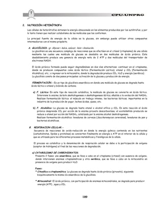 189
2. NUTRICIÓN HETERÓTROFA
Las células de heterótrofos obtienen la energía almacenada en los alimentos producidos por los autótrofos; y por
lo tanto tienen que realizar catabolismo de las moléculas que los conforman.
La principal fuente de energía de la célula es la glucosa, sin embargo puede utilizar otros compuestos
intermediarios con el mismo propósito.
A. GLUCÓLISIS.- gr. Glycos = dulce, azúcar; lisis = disolución.
La glucólisis es una secuencia compleja de reacciones que se efectúan en el citosol (citoplasma) de una célula
mediante las cuales una molécula de glucosa se desdobla en dos moléculas de ácido pirúvico. Este
desdoblamiento produce una ganancia de energía neta de 2 ATP y dos moléculas del transportador de
electrones NADH.
El ácido pirúvico formado puede seguir degradándose en dos vías alternativas: continuar en el citoplasma,
donde se producen compuestos como ácido láctico (Fermentación Láctica), etanol y CO2 (Fermentación
Alcohólica), etc.; o ingresar en la mitocondria, donde la degradación produce CO2, H2O y energía (aeróbica).
La glucólisis consta de dos pasos principales: activación de la glucosa y producción de energía.
FERMENTACIÓN.- Es un tipo de glucólisis anaeróbica en donde una molécula de glucosa se degrada hasta
ácido láctico o etanol y bióxido de carbono.
a) F. Láctica: En este tipo de reacción catabólica, la molécula de glucosa se convierte en ácido láctico.
Interviene la enzima lactato deshidrogenasa o deshidrogenasa láctica, añadida a la oxidación del NADH2.
Realizan fermentación láctica: el músculo en trabajo intenso, las bacterias lácticas; importantes en la
industria de la producción de yogur, leches ácidas, queso, etc.
b) F. Alcohólica: La glucosa se degrada hasta etanol o alcohol etílico y CO2. En esta reacción el ácido
pirúvico desprende CO2 por acción de la enzima piruvato descarboxilasa; el acetaldehído producido se
reduce a etanol por acción del NADH2, catalizada por la enzima alcohol deshidrogenasa.
Realizan fermentación alcohólica: levaduras de cerveza (Saccharomyces cerevisiae), levaduras de pan y
bacterias alcohólicas.
B. RESPIRACION CELULAR.-
Secuencia de reacciones de oxido-reducción en donde la energía química contenida en los nutrientes
(carbohidratos, lípidos y proteínas) se convierten finalmente en energía o ATP en el interior de la célula y
que es utilizada para los diferentes procesos metabólicos y fisiológicos de la célula.
El proceso es catabólico y la denominación de respiración celular se debe a la participación de oxígeno
(aceptor de hidrógeno) al final de las reacciones de degradación.
a) CATABOLISMO DE CARBOHIDRATOS.
Presenta 2 fases: una anaeróbica, que se lleva a cabo en el citoplasma (citosol) con ausencia de oxígeno,
donde intervienen enzimas citoplasmáticas y otra aeróbica, que se lleva a cabo en la mitocondria en
presencia de oxígeno para producir H2O.
Fases:
* Citosólica o citoplasmática: La glucosa se degrada hasta ácido pirúvico (piruvato), siguiendo
bioquímicamente la misma vía anaeróbica de la glucólisis.
* Mitocondrial: El ácido pirúvico, con participación de enzimas mitocondriales, se degrada para producir
energía (ATP) , agua y CO2.
 