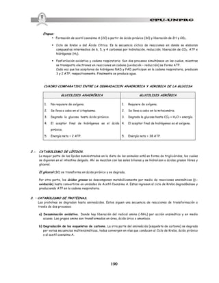 190
Etapas:
§ Formación de acetil coenzima A (2C) a partir de ácido pirúvico (3C) y liberación de 2H y CO2.
§ Ciclo de Krebs o del Ácido Cítrico. Es la secuencia cíclica de reacciones en donde se elaboran
compuestos intermedios de 6, 5, y 4 carbonos por hidratación, reducción; liberación de CO2, ATP e
hidrógenos (H2).
§ Fosforilación oxidativa y cadena respiratoria: Son dos procesos simultáneos en los cuales, mientras
se transporta electrones en reacciones en cadena (oxidación – reducción) se forma ATP.
Cada vez que los aceptores de hidrógeno NAD y FAD participan en la cadena respiratoria, producen
3 y 2 ATP, respectivamente. Finalmente se produce agua.
CUADRO COMPARATIVO ENTRE LA DEGRADACION ANAEROBICA Y AEROBICA DE LA GLUCOSA
GLUCOLISIS ANAERÓBICA GLUCOLISIS AERÓBICA
1. No requiere de oxígeno.
2. Se lleva a cabo en el citoplasma.
3. Degrada la glucosa hasta ácido pirúvico.
4. El aceptor final de hidrógenos es el ácido
pirúvico.
5. Energía neta = 2 ATP.
1. Requiere de oxígeno.
2. Se lleva a cabo en la mitocondria.
3. Degrada la glucosa hasta CO2 + H2O + energía.
4. El aceptor final de hidrógenos es el oxígeno.
5. Energía neta = 38 ATP.
2.- CATABOLISMO DE LÍPIDOS.
La mayor parte de los lípidos suministrados en la dieta de los animales está en forma de triglicéridos, los cuales
se digieren en el intestino delgado. Ahí se mezclan con las sales biliares y se hidrolizan a ácidos grasos libres y
glicerol.
El glicerol (3C) se transforma en ácido pirúvico y se degrada.
Por otra parte, los ácidos grasos se descomponen metabólicamente por medio de reacciones enzimáticas (b-
oxidación) hasta convertirse en unidades de Acetil Coenzima A. Estas ingresan al ciclo de Krebs degradándose y
produciendo ATP en la cadena respiratoria.
3. – CATABOLISMO DE PROTEINAS.
Las proteínas se degradan hasta aminoácidos. Estos siguen una secuencia de reacciones de transformación a
través de dos procesos:
a) Desaminación oxidativa. Donde hay liberación del radical amino (-NH2) por acción enzimática y en medio
acuoso. Los grupos amino son transformados en úrea, ácido úrico o amoníaco.
b) Degradación de los esqueletos de carbono. La otra parte del aminoácido (esqueleto de carbono) se degrada
por varias secuencias multienzimáticas, todas convergen en vías que conducen al Ciclo de Krebs, ácido pirúvico
o al acetil coenzima A.
 