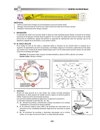 193
OBJETIVOS.
1. Valorar la importancia biológica de los mecanismos cíclicos de división celular.
2. Distinguir las variaciones en la estructura celular durante las fases de la mitosis y meiosis.
3. Establecer diferencias entre mitosis y meiosis.
I. DEFINICIÓN
La reproducción celular es un proceso donde la célula se divide originando nuevas células. La división en las células
eucariotas es dirigida por el mismo material genético. Por otro lado, las células eucariotas sin núcleo no se dividen
(eritrocitos de mamíferos), algunas han perdido su capacidad de reproducción como las neuronas, que en los
mamíferos, después de su nacimiento, no se vuelven a dividir.
II. EL CICLO CELULAR
Es el tiempo de vida de una célula y comprende desde el comienzo de una división hasta el comienzo de la
siguiente. Se experimenta una serie de procesos y actividades, asegura el crecimiento y desarrollo de toda célula
que culmina con la formación de nuevas células (hijas) a partir de una célula madre (división celular). En una célula
eucariota se distingue dos etapas:
Interfase: Es la primera etapa, de gran actividad metabólica, abarca el 90% a más del ciclo celular.
División celular: Mitosis o meiosis.
1. Interfase:
Período de larga duración en la vida celular, hay intensa actividad metabólica
(biosíntesis), la célula aumenta de tamaño (crece) y duplica su material genético
(ADN). Transcurre entre dos divisiones sucesivas.
Los centriolos (células animales) se duplican por lo general en el período S.
La interfase comprende los períodos: G1, S y G2.
A) G1: Síntesis de proteínas, carbohidratos y lípidos. Incremento en el volumen
citoplasmático y formación de nuevas organelas.
B) S: Se sintetiza (replica) nuevo ADN y las proteínas que intervienen en la
estructura de los cromosomas (histonas). Duplicación de centriolos en células
animales.
C) G2: Se sintetizan las proteínas y materiales relacionados con la división
celular. Se corrigen errores de la Fase S. La célula almacena energía
Reproducción Celular
 