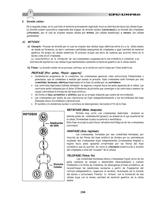 194
2. División celular:
Es la segunda etapa, en la cual todo el material previamente duplicado inicia su distribución hacia las células hijas.
La división celular eucariótica comprende dos etapas: de división nuclear (cariocinesis) y la división del citoplasma
(citocinesis), por el cual se originan nuevas células por mitosis (en células somáticas); o meiosis (en células
germinales).
A) MITOSIS
a) Concepto: Proceso de división por el cual se originan dos células hijas idénticas entre sí y a la célula madre
de donde se formaron, es decir contienen cantidades semejantes de citoplasma e igual cantidad de material
genético. Es propia de células somáticas. El proceso incluye una serie de cambios que ocurren tanto en el
núcleo como en el citoplasma.
Lo característico es la formación de los cromosomas a expensas de la red cromática o cromatina y su
distribución equitativa a las células hijas manteniendo constante el material genético de la célula madre.
b) Fases: La división celular es un proceso continuo, se le divide en cuatro fases por fines didácticos.
PROFASE (Pro: antes, Phasis: aspecto)
· Condensación progresiva de la cromatina, los cromosomas aparecen como estructuras filamentosas o
granulosas, que se condensan a medida que avanza el proceso. Cada cromosoma está formado por dos
cromátidas hermanas idénticas (duplicadas en la fase S) unidas por un centrómero.
· Los centriolos duplicados (células animales) se separan y migran hacia los polos opuestos de la célula. Los
centriolos están rodeados por el áster (filamentos de proteína que convergen a los centriolos a manera de
rayos) controlando la formación del huso mitótico.
· Se forma el huso acromático o mitótico, que es un arreglo elipsoide que consta de microtúbulos.
· Los cromosomas por medio de sus cinetocoros se fijan independientemente a los microtúbulos del huso
(llamados ahora microtúbulos cinetocóricos)
· El nucléolo y la membrana nuclear o carioteca se desorganizan, marcando el fin de la fase.
METAFASE (Meta: después)
Período muy corto. Los cromosomas duplicados alcanzan su
máximo grado de condensación (grosor), se alinean en el eje ecuatorial de
la célula, formándose la placa ecuatorial o metafásica.
Esta fase es propicia para hacer estudios morfológicos de los cromosomas
(cariotipo).
ANAFASE (Ana: regresar)
Los cromosomas, formados por dos cromátidas hermanas, por
tracción de las fibras del huso mitótico se dividen por su centrómeros
originado dos cromosomas hijos independientes (cromosomas simples) y
migran hacia polos opuestos arrastrados por las fibras del huso
acromático que se acortan. Se inicia la citocinesis (constricción y división
del citoplasma a nivel del “ecuador” de la célula)
TELOFASE (Telos: fin)
Las cromátidas hermanas (ahora cromosomas hijos) cerca de los
polos celulares se alargan y desenrollan (descondensan) y vuelven
finalmente a la forma de cromatina. Se desorganiza el huso acromático, se
reconstituyen las membranas nucleares a partir de fragmentos del
retículo endoplasmático, reaparece el nucléolo, terminando así la división
del núcleo o cariocinesis. Finaliza la mitosis con la formación de dos
células hijas con la misma cantidad de material genético de la célula
madre.
 