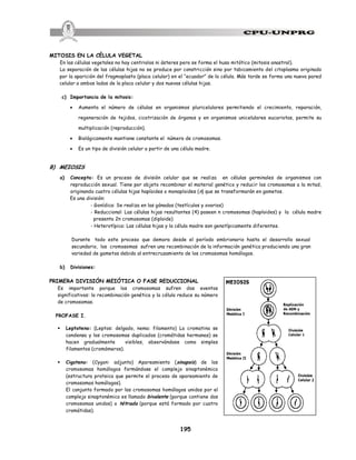 195
MITOSIS EN LA CÉLULA VEGETAL
En las células vegetales no hay centriolos ni ásteres pero se forma el huso mitótico (mitosis anastral).
La separación de las células hijas no se produce por constricción sino por tabicamiento del citoplasma originado
por la aparición del fragmoplasto (placa celular) en el “ecuador” de la célula. Más tarde se forma una nueva pared
celular a ambos lados de la placa celular y dos nuevas células hijas.
c) Importancia de la mitosis:
· Aumenta el número de células en organismos pluricelulares permitiendo el crecimiento, reparación,
regeneración de tejidos, cicatrización de órganos y en organismos unicelulares eucariotas, permite su
multiplicación (reproducción).
· Biológicamente mantiene constante el número de cromosomas.
· Es un tipo de división celular a partir de una célula madre.
B) MEIOSIS
a) Concepto: Es un proceso de división celular que se realiza en células germinales de organismos con
reproducción sexual. Tiene por objeto recombinar el material genético y reducir los cromosomas a la mitad,
originando cuatro células hijas haploides o monoploides (n) que se transformarán en gametos.
Es una división:
- Gonídica: Se realiza en las gónadas (testículos y ovarios)
- Reduccional: Las células hijas resultantes (4) poseen n cromosomas (haploides) y la célula madre
presenta 2n cromosomas (diploide)
- Heterotípica: Las células hijas y la célula madre son genotípicamente diferentes.
Durante todo este proceso que demora desde el período embrionario hasta el desarrollo sexual
secundario, los cromosomas sufren una recombinación de la información genética produciendo una gran
variedad de gametos debido al entrecruzamiento de los cromosomas homólogos.
b) Divisiones:
PRIMERA DIVISIÓN MEIÓTICA O FASE REDUCCIONAL
Es importante porque los cromosomas sufren dos eventos
significativos: la recombinación genética y la célula reduce su número
de cromosomas.
PROFASE I.
§ Leptoteno: (Leptos: delgado, nema: filamento) La cromatina se
condensa y los cromosomas duplicados (cromátidas hermanas) se
hacen gradualmente visibles, observándose como simples
filamentos (cromómeros).
§ Cigoteno: (Cygon: adjunto) Apareamiento (sinapsis) de los
cromosomas homólogos formándose el complejo sinaptonémico
(estructura proteica que permite el proceso de apareamiento de
cromosomas homólogos).
El conjunto formado por los cromosomas homólogos unidos por el
complejo sinaptonémico es llamado bivalente (porque contiene dos
cromosomas unidos) o tétrada (porque está formado por cuatro
cromátidas).
 