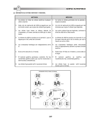 197
d) DIFERENCIAS ENTRE MITOSIS Y MEIOSIS.
MITOSIS MEIOSIS
1. Se produce en todas las células somáticas (cualquier
célula corporal).
2. Cada ciclo de replicación del ADN es seguido por uno
de división celular, que origina dos células hijas iguales.
3. Las células hijas tienen un número diploide de
cromosomas y la misma cantidad de ADN que la célula
madre.
4. La síntesis de ADN se produce en el período S, que es
seguido por el G2, antes de la división.
5. Los cromosomas homólogos son independientes entre
sí.
6. Es de corta duración (1 a 2 horas).
7. El material genético permanece constante. No hay
variabilidad genética (salvo que ocurran mutaciones o
aberraciones cromosómicas).
8. Las células hijas pueden sufrir sucesivas mitosis.
1. Se realiza en células germinales (de las gónadas u
órganos sexuales).
2. Un ciclo de replicación de ADN es seguido por dos
divisiones que origina 4 células hijas haploides.
3. Las cuatro células hijas son haploides, contienen la
mitad de ADN de la célula madre.
4. La síntesis de ADN se produce en el periodo S y es
de mayor duración que el de la mitosis, por eso la
fase G2 es corta o falta.
5. Los cromosomas homólogos están relacionados
entre sí (apareamiento) durante la primera división
meiótica.
6. Puede durar 24 días en el hombre y varios años en
la mujer.
7. El material genético se modifica por
recombinación, hay variabilidad genética.
8. Las células hijas no pueden sufrir sucesivas
meiosis, pero si mitosis.
 