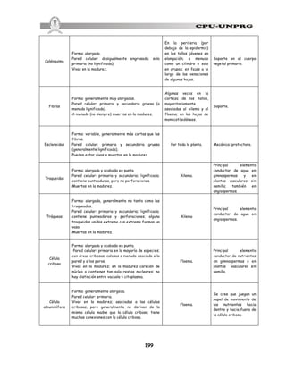 199
Colénquima
Forma: alargada.
Pared celular: desigualmente engrosada; solo
primaria (no lignificada).
Vivas en la madurez.
En la periferia (por
debajo de la epidermis)
en los tallos jóvenes en
elongación; a menudo
como un cilindro o solo
en grupos; en fajas a lo
largo de las venaciones
de algunas hojas.
Soporte en el cuerpo
vegetal primario.
Fibras
Forma: generalmente muy alargadas.
Pared celular: primaria y secundaria gruesa (a
menudo lignificada).
A menudo (no siempre) muertas en la madurez.
Algunas veces en la
corteza de los tallos,
mayoritariamente
asociadas al xilema y al
floema; en las hojas de
monocotiledóneas.
Soporte.
Esclereidas
Forma: variable, generalmente más cortas que las
fibras.
Pared celular: primaria y secundaria gruesa
(generalmente lignificada).
Pueden estar vivas o muertas en la madurez.
Por toda la planta. Mecánica: protectora.
Traqueidas
Forma: alargada y acabada en punta.
Pared celular: primaria y secundaria; lignificada;
contiene punteaduras, pero no perforaciones.
Muertas en la madurez.
Xilema.
Principal elemento
conductor de agua en
gimnospermas y en
plantas vasculares sin
semilla; también en
angiospermas.
Tráqueas
Forma: alargada, generalmente no tanto como las
traqueadas.
Pared celular: primaria y secundaria; lignificada;
contiene punteaduras y perforaciones; alguna
traqueidas unidas extremo con extremo forman un
vaso.
Muertas en la madurez.
Xilema
Principal elemento
conductor de agua en
angiospermas.
Célula
cribosa
Forma: alargada y acabada en punta.
Pared celular: primaria en la mayoría de especies;
con áreas cribosas; calosas a menudo asociada a la
pared y a los poros.
Vivas en la madurez; en la madurez carecen de
núcleo o contienen tan solo restos nucleares; no
hay distinción entre vacuola y citoplasma.
Floema.
Principal elemento
conductor de nutrientes
en gimnospermas y en
plantas vasculares sin
semilla.
Célula
albuminífera
Forma: generalmente alargada.
Pared celular: primaria.
Vivas en la madurez; asociadas a las células
cribosas, pero generalmente no derivan de la
misma célula madre que la célula cribosa; tiene
muchas conexiones con la célula cribosa.
Floema.
Se cree que juegan un
papel de movimiento de
los nutrientes hacia
dentro y hacia fuera de
la célula cribosa.
 