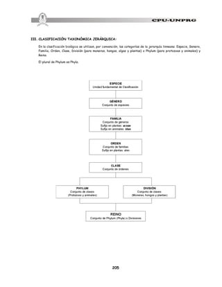 205
III. CLASIFICACIÓN TAXONÓMICA JERÁRQUICA:
En la clasificación biológica se utilizan, por convención, las categorías de la jerarquía linneana: Especie, Genero,
Familia, Orden, Clase, División (para moneras, hongos, algas y plantas) o Phylum (para protozoos y animales) y
Reino.
El plural de Phylum es Phyla.
 