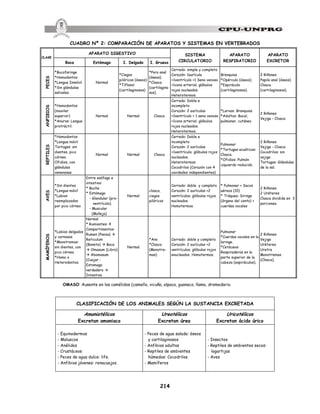 214
CUADRO Nº 2: COMPARACIÓN DE APARATOS Y SISTEMAS EN VERTEBRADOS
CLASE
APARATO DIGESTIVO SISTEMA
CIRCULATORIO
APARATO
RESPIRATORIO
APARATO
EXCRETOR
Boca Estómago I. Delgado I. Grueso
PECES
*Bucofaringe
*Homodontos
*Lengua Inmóvil.
*Sin glándulas
salivales
Normal
*Ciegos
pilóricos (óseos)
*Tiflosol
(cartilaginosos)
*Poro anal
(óseos).
*Cloaca
(cartilagino
sos).
Cerrado: simple y completo
Corazón: 1aurícula
+1ventrículo +1 Seno venoso
+1cono arterial; glóbulos
rojos nucleados.
Heterotermos
Branquias
*Opérculo (óseos).
*Espiráculo
(cartilaginosos).
2 Riñones
Papila anal (óseos)
Cloaca
(cartilaginosos).
ANFIBIOS
*Homodontos
(maxilar
superior)
*Anuros: Lengua
protráctil.
Normal Normal Cloaca
Cerrado: Doble e
incompleto
Corazón: 2 aurículas
+1ventrículo + 1 seno venoso
+1cono arterial; glóbulos
rojos nucleados.
Heterotermos.
*Larvas: Branquias
*Adultos: Bucal,
pulmonar, cutáneo
2 Riñones
Vejiga - Cloaca
REPTILES
*Homodontos
*Lengua móvil
Tortugas: sin
dientes, pico
córneo
Ofidios, con
glándulas
venenosas
Normal Normal Cloaca
Cerrado: Doble e
incompleto
Corazón: 2 aurículas
+1ventrículo; glóbulos rojos
nucleados.
Heterotermos
Cocodrilos (Corazón con 4
cavidades independientes)
Pulmonar
*Tortugas acuáticas:
Cloaca.
*Ofidios: Pulmón
izquierdo reducido.
2 Riñones
Vejiga - Cloaca
Cocodrilos: sin
vejiga
Tortugas: Glándulas
de la sal.
AVES
*Sin dientes
*Lengua móvil
*Labios
reemplazados
por pico córneo
Entre esófago e
intestino:
* Buche
* Estómago
- Glandular (pro-
ventrículo).
- Muscular
(Molleja)
Normal
cloaca,
ciegos
pilóricos
Cerrado: doble y completo
Corazón: 2 aurículas +2
ventrículos; glóbulos rojos
nucleados.
Homotermos.
* Pulmonar + Sacos
aéreos (10)
* Tráquea: Siringe
(órgano del canto) +
cuerdas vocales
2 Riñones
2 Uréteres
Cloaca dividida en 3
porciones.
MAMÍFEROS
*Labios delgados
y carnosos
*Monotremas:
sin dientes, con
pico córneo
*Homo o
Heterodontos.
Normal
* Rumiantes: 4
Compartimentos:
Rumen (Panza) à
Reticulum
(Bonete) à Boca
à Omasum (Libro)
à Abomasum
(Cuajar :
Estomago
verdadero à
Intestino
Normal
*Ano
*Cloaca
(Monotre-
mas)
Cerrado: doble y completo
Corazón: 2 aurículas +2
ventrículos; glóbulos rojos
anucleados. Homotermos.
Pulmonar
*Cuerdas vocales en la
laringe.
*Cetáceos:
Respiraderos en la
parte superior de la
cabeza (espiráculos).
2 Riñones
Vejiga
Uréteres
Uretra
Monotremas
(Cloaca).
OMASO: Ausente en los camélidos (camello, vicuña, alpaca, guanaco, llama, dromedario.
CLASIFICACIÓN DE LOS ANIMALES SEGÚN LA SUSTANCIA EXCRETADA
Amoniotélicos
Excretan amoniaco
Ureotélicos
Excretan úrea
Uricotélicos
Excretan ácido úrico
- Equinodermos
- Moluscos
- Anélidos
- Crustáceos
- Peces de agua dulce: life.
- Anfibios jóvenes: renacuajos.
- Peces de agua salada: óseos
y cartilaginosos.
- Anfibios adultos
- Reptiles de ambientes
húmedos: Cocodrilos
- Mamíferos
- Insectos
- Reptiles de ambientes secos:
lagartijas
- Aves
 