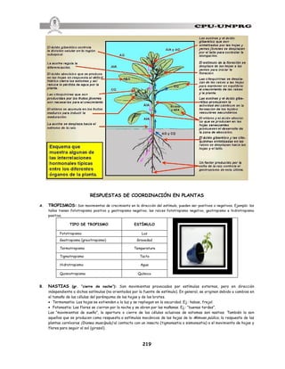 219
RESPUESTAS DE COORDINACIÓN EN PLANTAS
A. TROPISMOS: Son movimientos de crecimiento en la dirección del estímulo, pueden ser positivos o negativos. Ejemplo: los
tallos tienen fototropismo positivo y geotropismo negativo; las raíces fototropismo negativo, geotropismo e hidrotropismo
positivo.
TIPO DE TROPISMO ESTÍMULO
Fototropismo Luz
Geotropismo (gravitropismo) Gravedad
Termotropismo Temperatura
Tigmotropismo Tacto
Hidrotropismo Agua
Quimiotropismo Químico
B. NASTIAS (gr. “cierre de noche”): Son movimientos provocados por estímulos externos, pero en dirección
independiente a dichos estímulos (no orientados por la fuente de estímulo). En general, se originan debido a cambios en
el tamaño de las células del parénquima de las hojas y de los brotes.
· Termonastia: Las hojas se extienden a la luz y se repliegan en la oscuridad. Ej.: habas, frejol.
· Fotonastia: Las flores se cierran por la noche y se abren por las mañanas. Ej.: “buenas tardes”.
Los “movimientos de sueño”, la apertura o cierre de las células oclusivas de estomas son nastias. También lo son
aquellos que se producen como respuesta a estímulos mecánicos de las hojas de la Mimosa púdica, la respuesta de las
plantas carnívoras (Dionea muscípula) al contacto con un insecto (tigmonastia o sismonastia) o el movimiento de hojas y
flores para seguir al sol (girasol).
 