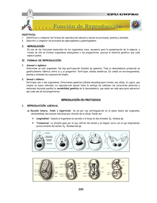 220
OBJETIVOS:
1. Identificar y comparar las formas de reproducción asexual y sexual en protozoos, plantas y animales.
2. Describir y comparar los procesos de esporogénesis y gametogénesis.
I. REPRODUCCIÓN
Es una de las funciones esenciales de los organismos vivos, necesaria para la perpetuación de la especie; a
través de ella se forman organismos semejantes a los progenitores, gracias al material genético que cada
especie posee.
II. FORMAS DE REPRODUCCIÓN
1. Asexual o Agámica:
Interviene un solo organismo. No hay participación (fusión) de gametos. Toda la descendencia producida es
genéticamente idéntica entre sí y al progenitor. Participan células somáticas. Es común en microorganismos,
plantas y animales de organización simple.
2. Sexual o Gámica:
Participan uno o dos organismos. Intervienen gametos (células sexuales) para formar una célula, el cigoto, que
origina un nuevo individuo. La reproducción sexual tiene la ventaja de combinar los caracteres paternos y
maternos haciendo posible la variabilidad genética de la descendencia, que suele ser más apta para sobrevivir
que cada uno de los progenitores.
REPRODUCCIÓN EN PROTOZOOS
1. REPRODUCCIÓN ASEXUAL
a) Escisión binaria, fisión o bipartición: Se da por una estrangulación en el plano medio del organismo,
obteniéndose dos nuevos individuos por división de la célula. Puede ser:
v Longitudinal: Cuando el organismo se escinde a lo largo en dos mitades. Ej. Astasia sp.
v Transversal: La división pasa por el eje central del animal y en ángulo recto con el eje longitudinal,
previa división del núcleo. Ej. Paramecium sp.
Función de Reproducción
 