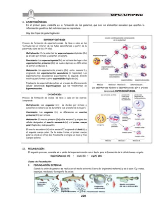 228
I. GAMETOGÉNESIS.
Es el primer paso, consiste en la formación de los gametos, que son los elementos sexuales que aportan la
información genética del individuo que se reproduce.
Hay dos tipos de gametogénesis:
ESPERMATOGÉNESIS
Proceso de formación de espermatozoides. Se lleva a cabo en los
testículos (en el interior de los tubos seminíferos), a partir de la
pubertad y dura de 61 a 74 días.
Multiplicación: En la pubertad las espermatogonias diploides (2n)
se dividen por mitosis y aumentan en número.
Crecimiento: Las espermatogonias (2n) por mitosis dan lugar a los
espermatocitos primarios (2n) los cuales duplican su ADN antes
de entrar en Meiosis I.
Maduración: Un espermatocito primario (2n) sufre meiosis I y
originando dos espermatocitos secundarios (n: haploides). Los
espermatocitos secundarios experimentan la segunda división
meiótica para formar cuatro espermátides haploides (n).
Finalmente las espermátides sufren un proceso de diferenciación
celular denominado Espermiogénesis que los transforman en
Espermatozoides. Las espermátidas maduran a espermatozoides por el proceso
denominado ESPERMIOGÉNESIS.
OVOGÉNESIS
Proceso de formación de óvulos. Se lleva a cabo en los ovarios;
comprende:
Multiplicación: Las ovogonias (2n) se dividen por mitosis y
aumentan en número (se da durante la vida prenatal de la mujer).
Crecimiento: Las ovogonias (2n) se diferencian en ovocitos
primarios (2n) por mitosis.
Maduración: El ovocito primario (2n) sufre meiosis I y origina dos
células desiguales: el ovocito secundario (n) y el primer cuerpo
polar (haploide y más pequeño).
El ovocito secundario (n) sufre meiosis II originando al óvulo (n) y
al segundo cuerpo polar. De la misma forma, el primer cuerpo
polar se divide en otros dos. Finalmente se origina un óvulo y tres
cuerpos polares.
II. FECUNDACIÓN.
El segundo proceso, consiste en la unión del espermatozoide con el óvulo, para la formación de la célula huevo o cigoto.
Espermatozoide (n) + ovulo (n) = cigoto (2n)
Clases de Fecundación:
1. FECUNDACIÓN EXTERNA:
Cuando la unión de gametos se realiza en el medio externo (fuera del organismo materno) y es al azar. Ej.: ranas,
esponjas, medusas y la mayoría de peces.
 