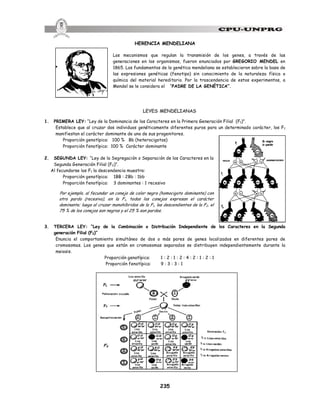 235
HERENCIA MENDELIANA
Los mecanismos que regulan la transmisión de los genes, a través de las
generaciones en los organismos, fueron enunciados por GREGORIO MENDEL en
1865. Los fundamentos de la genética mendeliana se establecieron sobre la base de
las expresiones genéticas (fenotipo) sin conocimiento de la naturaleza física o
química del material hereditario. Por la trascendencia de estos experimentos, a
Mendel se le considera el “PADRE DE LA GENÉTICA”.
LEYES MENDELIANAS
1. PRIMERA LEY: “Ley de la Dominancia de los Caracteres en la Primera Generación Filial (F1)”.
Establece que al cruzar dos individuos genéticamente diferentes puros para un determinado carácter, los F1
manifiestan el carácter dominante de uno de sus progenitores.
Proporción genotípica: 100 % Bb (heterocigotos)
Proporción fenotípica: 100 % Carácter dominante
2. SEGUNDA LEY: “Ley de la Segregación o Separación de los Caracteres en la
Segunda Generación Filial (F2)”.
Al fecundarse los F1 la descendencia muestra:
Proporción genotípica: 1BB : 2Bb : 1bb
Proporción fenotípica: 3 dominantes : 1 recesivo
Por ejemplo, al fecundar un conejo de color negro (homocigoto dominante) con
otro pardo (recesivo), en la F1, todos los conejos expresan el carácter
dominante; luego al cruzar monohíbridos de la F1, los descendientes de la F2, el
75 % de los conejos son negros y el 25 % son pardos.
3. TERCERA LEY: “Ley de la Combinación o Distribución Independiente de los Caracteres en la Segunda
generación Filial (F2)”
Enuncia el comportamiento simultáneo de dos o más pares de genes localizados en diferentes pares de
cromosomas. Los genes que están en cromosomas separados se distribuyen independientemente durante la
meiosis.
Proporción genotípica: 1 : 2 : 1 : 2 : 4 : 2 : 1 : 2 : 1
Proporción fenotípica: 9 : 3 : 3 : 1
 
