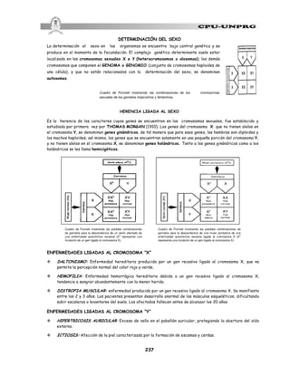 237
DETERMINACIÓN DEL SEXO
La determinación el sexo en los organismos se encuentra bajo control genético y se
produce en el momento de la fecundación. El complejo genético determinante suele estar
localizado en los cromosomas sexuales X e Y (heterocromosomas o alosomas); los demás
cromosomas que componen el GENOMA o GENOMIO (conjunto de cromosomas haploides de
una célula), y que no están relacionados con la determinación del sexo, se denominan
autosomas.
HERENCIA LIGADA AL SEXO
Es la herencia de los caracteres cuyos genes se encuentran en los cromosomas sexuales, fue establecida y
estudiada por primera vez por THOMAS MORGAN (1910). Los genes del cromosoma X que no tienen alelos en
el cromosoma Y, se denominan genes ginándricos, de tal manera que para esos genes, las hembras son diploides y
los machos haploides; así mismo, los genes que se encuentran solamente en una pequeña porción del cromosoma Y,
y no tienen alelos en el cromosoma X, se denominan genes holándricos. Tanto a los genes ginándricos como a los
holándricos se les llama hemicigóticos.
ENFERMEDADES LIGADAS AL CROMOSOMA “X”
v DALTONISMO: Enfermedad hereditaria producida por un gen recesivo ligado al cromosoma X, que no
permite la percepción normal del color rojo y verde.
v HEMOFILIA: Enfermedad hemorrágica hereditaria debida a un gen recesivo ligado al cromosoma X;
tendencia a sangrar abundantemente con la menor herida.
v DISTROFIA MUSCULAR: enfermedad producida por un gen recesivo ligado al cromosoma X. Se manifiesta
entre los 2 y 3 años. Los pacientes presentan desarrollo anormal de los músculos esqueléticos, dificultando
subir escaleras o levantarse del suelo. Los afectados fallecen antes de alcanzar los 20 años.
ENFERMEDADES LIGADAS AL CROMOSOMA “Y”
v HIPERTRICOSIS AURICULAR: Exceso de vello en el pabellón auricular, protegiendo la abertura del oído
externo.
v ICTIOSIS: Afección de la piel caracterizada por la formación de escamas y cerdas.
Cuadro de Punnett mostrando las combinaciones de los cromosomas
sexuales de los gametos masculinos y femeninos.
Cuadro de Punnett mostrando las posibles combinaciones
de gametos para la descendencia de un varón afectado de
una enfermedad autonómica recesiva (X
h
representa una
mutación de un gen ligado al cromosoma X).
Cuadro de Punnett mostrando las posibles combinaciones de
gametos para la descendencia de una mujer portadora de una
enfermedad autonómica recesiva ligada al cromosoma X (X
h
representa una mutación de un gen ligado al cromosoma X).
 