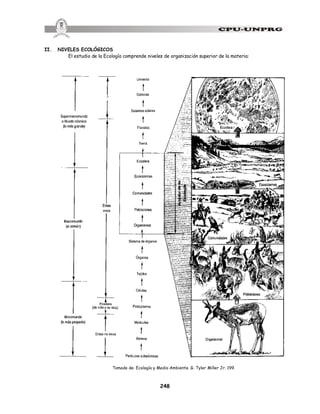 248
II. NIVELES ECOLÓGICOS
El estudio de la Ecología comprende niveles de organización superior de la materia:
Tomado de: Ecología y Medio Ambiente. G. Tyler Miller Jr. 199
 