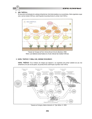 253
2. RED TRÓFICA:
Es una serie entrelazada de cadenas alimentarias interrelacionadas en un ecosistema. Cada organismo ocupa
uno o varios niveles tróficos, constituyendo los productores el primer nivel trófico.
Tomado de: Ecología de Perú. Antonio Brack & Cecilia Mendiola. 2000.
Nota: Los números encerrados en círculo indican los niveles tróficos.
3. NIVEL TROFICO Y REGLA DEL DIEZMO ECOLÓGICO:
NIVEL TRÓFICO: Es el número de etapas que separan a un organismo del primer eslabón de una red
alimentaria. En una red de pasto, los productores constituyen el primer nivel trófico.
Tomado de: Ecología y Medio Ambiente. G. Tyler Miller Jr. 1994.
 