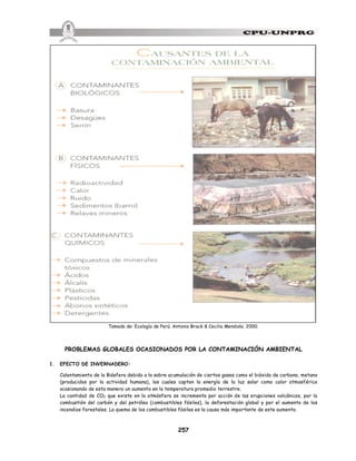 257
Tomado de: Ecología de Perú. Antonio Brack & Cecilia Mendiola. 2000.
PROBLEMAS GLOBALES OCASIONADOS POR LA CONTAMINACIÓN AMBIENTAL
1. EFECTO DE INVERNADERO:
Calentamiento de la Biósfera debido a la sobre acumulación de ciertos gases como el bióxido de carbono, metano
(producidos por la actividad humana), los cuales captan la energía de la luz solar como calor atmosférico
ocasionando de esta manera un aumento en la temperatura promedio terrestre.
La cantidad de CO2 que existe en la atmósfera se incrementa por acción de las erupciones volcánicas, por la
combustión del carbón y del petróleo (combustibles fósiles), la deforestación global y por el aumento de los
incendios forestales. La quema de los combustibles fósiles es la causa más importante de este aumento.
 