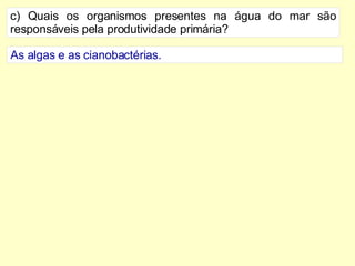 c) Quais os organismos presentes na água do mar são responsáveis pela produtividade primária? As algas e as cianobactérias.  