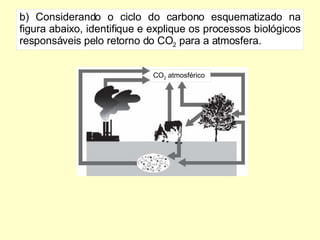 b) Considerando o ciclo do carbono esquematizado na figura abaixo, identifique e explique os processos biológicos responsáveis pelo retorno do CO 2  para a atmosfera. CO 2  atmosférico 