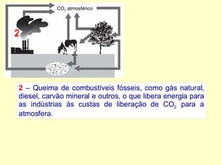 2  – Queima de combustíveis fósseis, como gás natural, diesel, carvão mineral e outros, o que libera energia para as indústrias às custas de liberação de CO 2  para a atmosfera. CO 2  atmosférico 2 