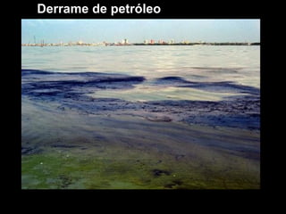 Derrame de petróleo 