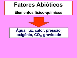Fatores Abióticos Elementos físico-químicos Água, luz, calor, pressão, oxigênio, CO 2 , gravidade 