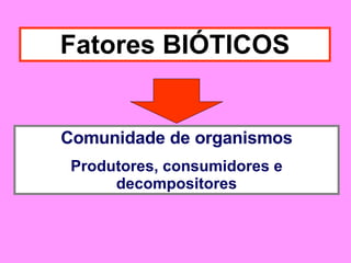 Fatores BIÓTICOS Comunidade de organismos Produtores, consumidores e decompositores 