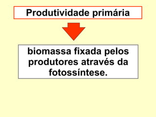 Produtividade primária biomassa fixada pelos produtores através da fotossíntese. 