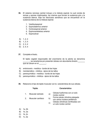 36. El sistema nervioso central incluye a la médula espinal, la cual consta de
somas y axones mielinizados, los mismos que forman la sustancia gris y la
sustancia blanca. Elija los fascículos sensitivos que se encuentran en la
sustancia blanca de la médula espinal.
1. Vestíbuloespinal
2. Espinotalámico anterior
3. Corticoespinal anterior
4. Espinocerebeloso anterior
5. Espinoolivar
A) 1, 2, 4
B) 1, 3, 5
C) 2, 3, 4
D) 2, 4, 5
37. Complete el texto.
El tejido vegetal responsable del crecimiento de la planta se denomina
_______; se caracteriza por presentar células con abundante división _______
que se ubican en el _______.
A) embrionario - meiótica - borde de las hojas
B) meristemático - mitótica - ápice de los tallos
C) parenquimático - meiótica - borde de las hojas
D) parenquimático - mitótica - ápice de los tallos
38. Relacione el tipo de tejido muscular con la característica de sus células.
Tejido Característica
1. Muscular estriado a)
Células fusiformes con un solo
núcleo central
2. Muscular cardíaco b)
Forma celular cilíndrica alargada
con varios núcleos periféricos
c)
Células cilíndricas ramificadas con
un solo núcleo central
A) 1a, 2b
B) 1b, 2a
C) 1b, 2c
D) 1c, 2a
 