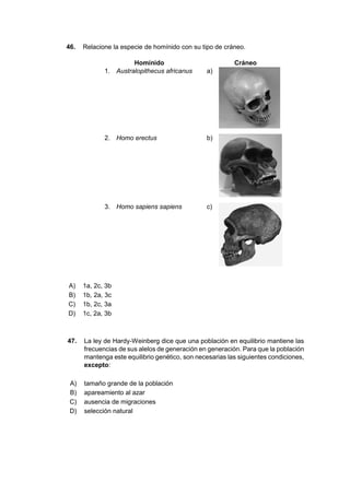46. Relacione la especie de homínido con su tipo de cráneo.
Homínido Cráneo
1. Australopithecus africanus a)
2. Homo erectus b)
3. Homo sapiens sapiens c)
A) 1a, 2c, 3b
B) 1b, 2a, 3c
C) 1b, 2c, 3a
D) 1c, 2a, 3b
47. La ley de Hardy-Weinberg dice que una población en equilibrio mantiene las
frecuencias de sus alelos de generación en generación. Para que la población
mantenga este equilibrio genético, son necesarias las siguientes condiciones,
excepto:
A) tamaño grande de la población
B) apareamiento al azar
C) ausencia de migraciones
D) selección natural
 