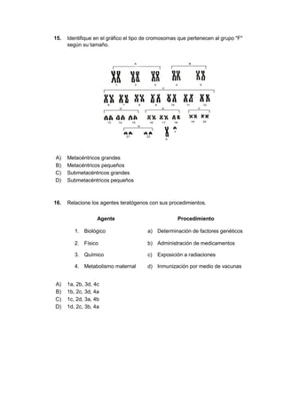 15. Identifique en el gráfico el tipo de cromosomas que pertenecen al grupo "F"
según su tamaño.
A) Metacéntricos grandes
B) Metacéntricos pequeños
C) Submetacéntricos grandes
D) Submetacéntricos pequeños
16. Relacione los agentes teratógenos con sus procedimientos.
Agente Procedimiento
1. Biológico a) Determinación de factores genéticos
2. Físico b) Administración de medicamentos
3. Químico c) Exposición a radiaciones
4. Metabolismo maternal d) Inmunización por medio de vacunas
A) 1a, 2b, 3d, 4c
B) 1b, 2c, 3d, 4a
C) 1c, 2d, 3a, 4b
D) 1d, 2c, 3b, 4a
 