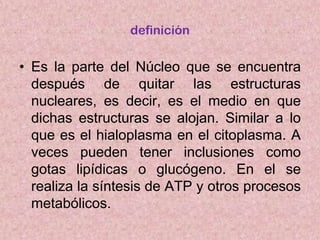 definición

• Es la parte del Núcleo que se encuentra
después de quitar las estructuras
nucleares, es decir, es el medio en que
dichas estructuras se alojan. Similar a lo
que es el hialoplasma en el citoplasma. A
veces pueden tener inclusiones como
gotas lipídicas o glucógeno. En el se
realiza la síntesis de ATP y otros procesos
metabólicos.

 