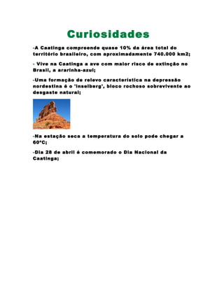 Curiosidades
-A Caatinga compreende quase 10% da área total do
território brasileiro, com aproximadamente 740.000 km2;
- Vive na Caatinga a ave com maior risco de extinção no
Brasil, a ararinha-azul;
-Uma formação de relevo característica na depressão
nordestina é o 'inselberg', bloco rochoso sobrevivente ao
desgaste natural;
-Na estação seca a temperatura do solo pode chegar a
60ºC;
-Dia 28 de abril é comemorado o Dia Nacional da
Caatinga;
 
