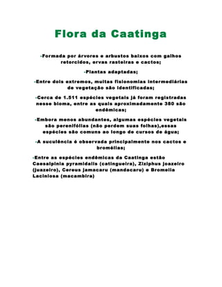 Flora da Caatinga
-Formada por árvores e arbustos baixos com galhos
retorcidos, ervas rasteiras e cactos;
-Plantas adaptadas;
-Entre dois extremos, muitas fisionomias intermediárias
de vegetação são identificadas;
-Cerca de 1.511 espécies vegetais já foram registradas
nesse bioma, entre as quais aproximadamente 380 são
endêmicas;
-Embora menos abundantes, algumas espécies vegetais
são perenifólias (não perdem suas folhas),essas
espécies são comuns ao longo de cursos de água;
-A suculência é observada principalmente nos cactos e
bromélias;
-Entre as espécies endêmicas da Caatinga estão
Caesalpinia pyramidalis (catingueira), Ziziphus joazeiro
(juazeiro), Cereus jamacaru (mandacaru) e Bromelia
Laciniosa (macambira)
 