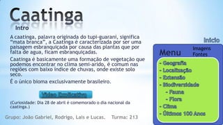 Intro
  A caatinga, palavra originada do tupi-guarani, significa
  “mata branca”, a Caatinga é caracterizada por ser uma
  paisagem esbranquiçada por causa das plantas que por                  Imagens
  falta de agua, ficam esbranquiçadas.                           Menu   Fontes
  Caatinga é basicamente uma formação de vegetação que
  podemos encontrar no clima semi-arido, é comum nas
  regiões com baixo índice de chuvas, onde existe solo
  seco.
  É o único bioma exclusivamente brasileiro.


  (Curiosidade: Dia 28 de abril é comemorado o dia nacional da
  caatinga.)

Grupo: João Gabriel, Rodrigo, Lais e Lucas.         Turma: 213
 