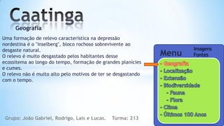 Geografia
Uma formação de relevo característica na depressão
nordestina é o "inselberg", bloco rochoso sobrevivente ao
desgaste natural.                                                     Imagens
O relevo é muito desgastado pelos habitantes desse             Menu   Fontes
ecossitema ao longo do tempo, formação de grandes planícies
e cumes.
O relevo não é muito alto pelo motivos de ter se desgastando
com o tempo.




 Grupo: João Gabriel, Rodrigo, Lais e Lucas.   Turma: 213
 