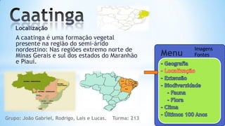 Localização
    A caatinga é uma formação vegetal
    presente na região do semi-árido
    nordestino: Nas regiões extremo norte de                      Imagens
    Minas Gerais e sul dos estados do Maranhão             Menu   Fontes
    e Piauí.




Grupo: João Gabriel, Rodrigo, Lais e Lucas.   Turma: 213
 