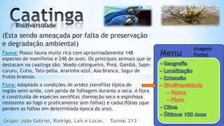 Biodiversidade
(Esta sendo ameaçada por falta de preservação
e degradação ambiental)
                                                                           Imagens
Fauna: Possui fauna muito rica com aproximadamente 148              Menu   Fontes
especies de mamiferos e 248 de aves. Os principais animais que se
destacam na caatinga são: Veado-catingueiro, Preá, Gambá, Sapo-
cururu, Cutia, Tatu-peba, Ararinha-azul, Asa-branca, Sagui de
frutos brancos.
Flora: Adaptada a condições de aridez (xerófila) típica de
região semi-arida, com perda de folhagem durante a seca. A flora
é constituída de espécies xerófitas (formação seca e espinhosa
resistente ao fogo e praticamente sem folhas) e caducifólias (que
perdem as folhas em determinada época do ano).

Grupo: João Gabriel, Rodrigo, Lais e Lucas.    Turma: 213
 