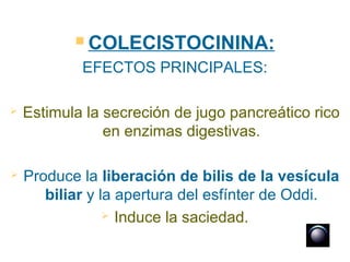  COLECISTOCININA:

            EFECTOS PRINCIPALES:

   Estimula la secreción de jugo pancreático rico
                en enzimas digestivas.

   Produce la liberación de bilis de la vesícula
       biliar y la apertura del esfínter de Oddi.
                  Induce la saciedad.
 