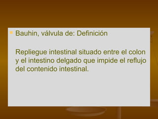    Bauhin, válvula de: Definición

    Repliegue intestinal situado entre el colon
    y el intestino delgado que impide el reflujo
    del contenido intestinal.
 