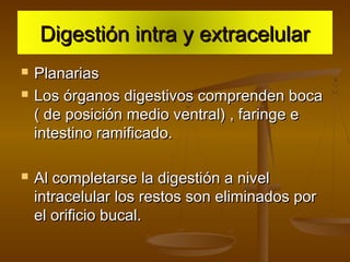 Digestión intra y extracelular
   Planarias
   Los órganos digestivos comprenden boca
    ( de posición medio ventral) , faringe e
    intestino ramificado.

   Al completarse la digestión a nivel
    intracelular los restos son eliminados por
    el orificio bucal.
 