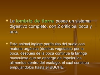    La lombriz de tierra posee un sistema
    digestivo completo, con 2 orificios, boca y
    ano.

   Este animal ingiere partículas del suelo con
    materia orgánica (detritus vegetales) por la
    boca, después de la boca continúa la faringe
    musculosa que se encarga de impeler los
    alimentos dentro del esófago, el cual continua
    empujándolos hasta el BUCHE.
 